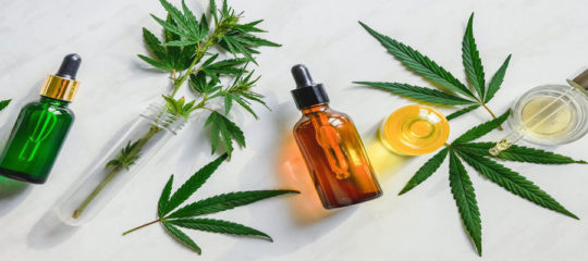 cannabis médical